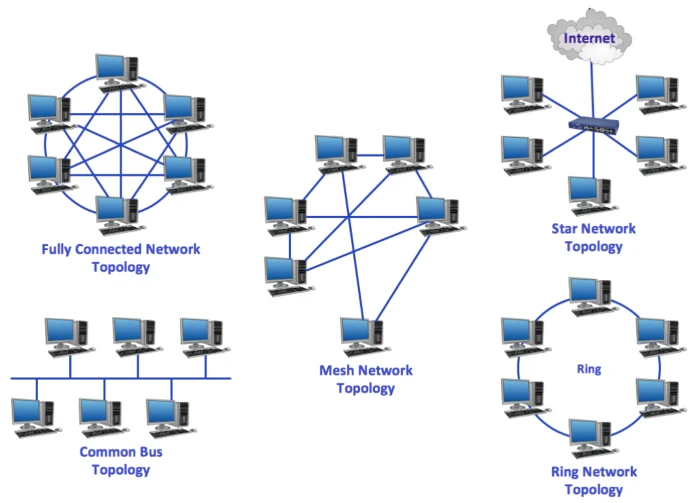 انواع توپولوژی شبکه های کامپیوتری